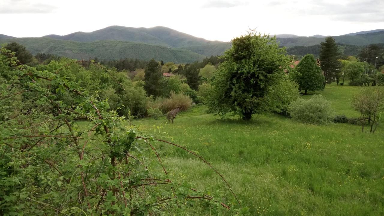 Casa Bartolacci Charme In Bivigliano Dış mekan fotoğraf